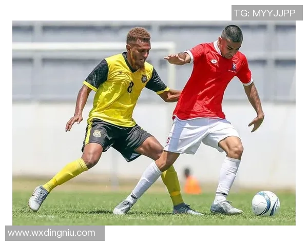 广州羽毛球队奋勇拼搏世界杯预选赛的辉煌历程与未来展望