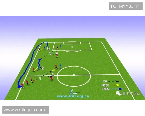 杭州足球队灵活性分析与战术创新的深度探讨