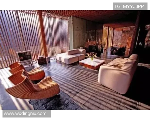 禅意足球明星的魅力与哲学探讨揭示运动与心灵的完美结合