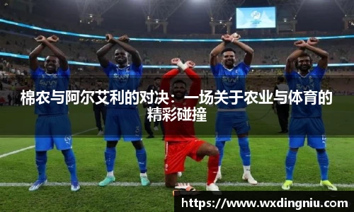 j9国际官网