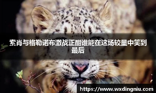 j9国际官网