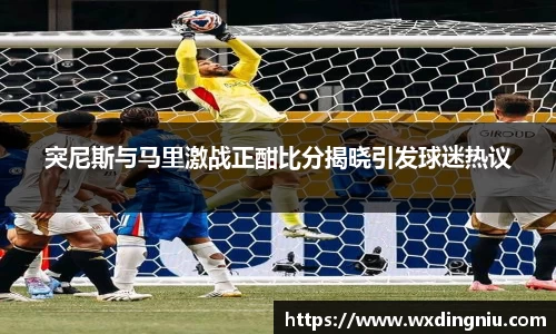 突尼斯与马里激战正酣比分揭晓引发球迷热议