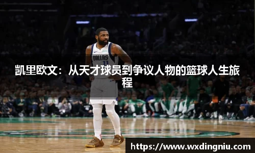 J9集团官网