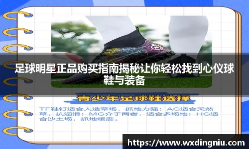 j9国际集团